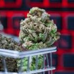 Cannabis in Canada Available Online with Quality You Can Count On