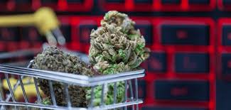 Cannabis in Canada Available Online with Quality You Can Count On