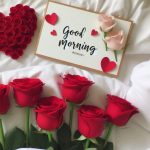 Embrace Fresh Beginnings With Good Morning Roses