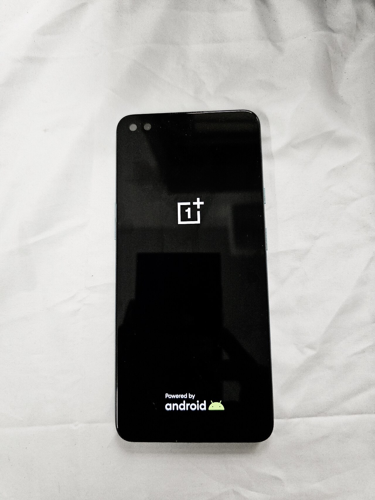 OnePlus 9 Lite release